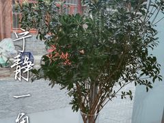 -VOYAGE COFFEE(杨梅竹店)