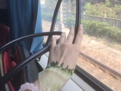 -上海南站