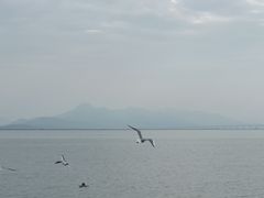 -深圳湾公园(南山区)