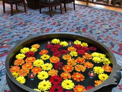 -松赞拉萨林卡酒店