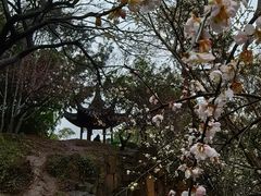 -北寺塔
