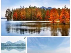-青山湖景区