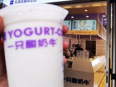 -一只酸奶牛(春熙路店)