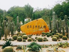 -深圳仙湖植物园