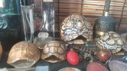 -鬼著刺青工作室·纹身设计