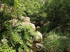 -碓臼峪自然风景区