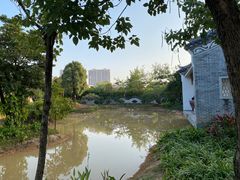 -大亚湾红树林城市湿地公园