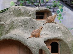 -灵玲国际马戏城