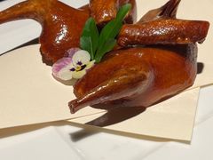 脆皮乳鸽-解香楼(八盘岭路店)