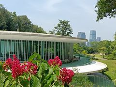 -云溪植物园