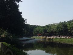 -广州长隆飞鸟乐园
