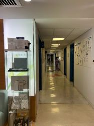 -杭州贝瑞斯美华妇儿医院·早孕·产检·儿科