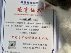 -粤香楼(新光里店)