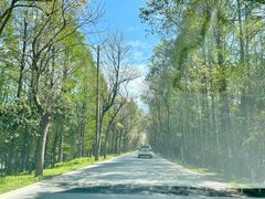 -上海海湾国家森林公园