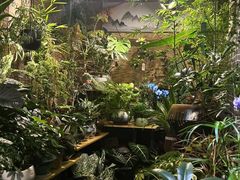 -花鸟鱼虫鲜花绿植市场(玉泉路店)