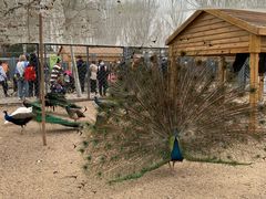 -长白岛森林公园