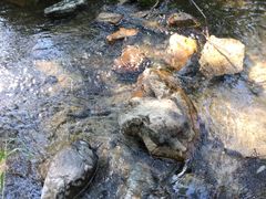 -碓臼峪自然风景区