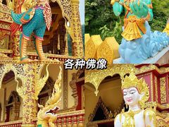 -西双版纳勐泐文化旅游区