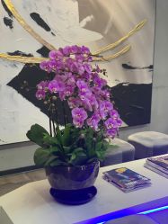 -SEBASTIAN塞巴斯汀