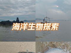 -白城沙滩