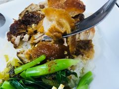 猪脚饭-鸡饭店