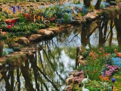 -上海共青森林公园