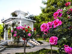 景点-东湖落雁景区