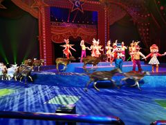 -珠海横琴长隆《卡卡虎奇遇记》