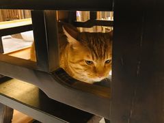 -聚汇三少·龙虾·中餐厅(莫邪路新天地店)
