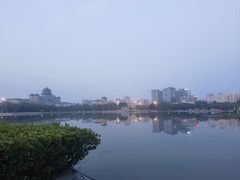 -莲花池公园