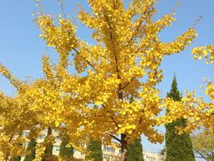 -大连外国语大学(旅顺校区)