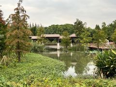-同里国家湿地公园