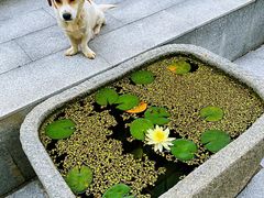 -凡烟外慢生活体验馆