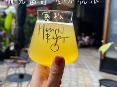 -MEDISN·药厂