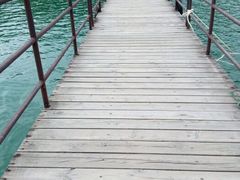 -广州市流溪河国家森林公园