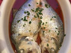 -莆鑫海鲜城(浏河店)