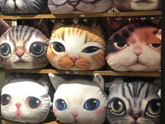 -猫咪博物馆(顶澳仔猫街店)