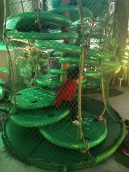 -恐龙探索乐园(磁器口店)