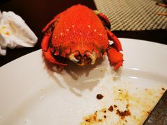 -景湖轩全日制餐厅·南湖名都