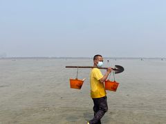 -北海金海湾红树林生态旅游区