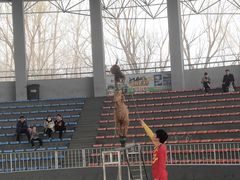 -石家庄市动物园