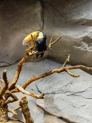 -Zoolung Zoolung动物主题公园(海信广场店)