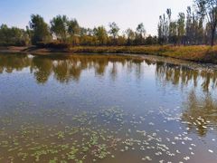 -东郊湿地公园