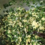 鲜美难挡又满足的韭菜鸡蛋虾仁水饺