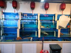 -合家院饭庄(榆关道店)
