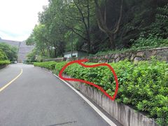 -长谷洞天