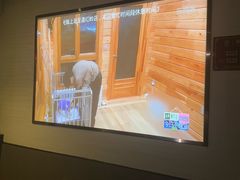 -上足·影院足道·SPA(红岭店)