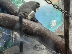 -石家庄市动物园