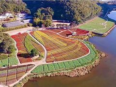 -广州市石门国家森林公园
