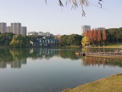 -新洲生态园